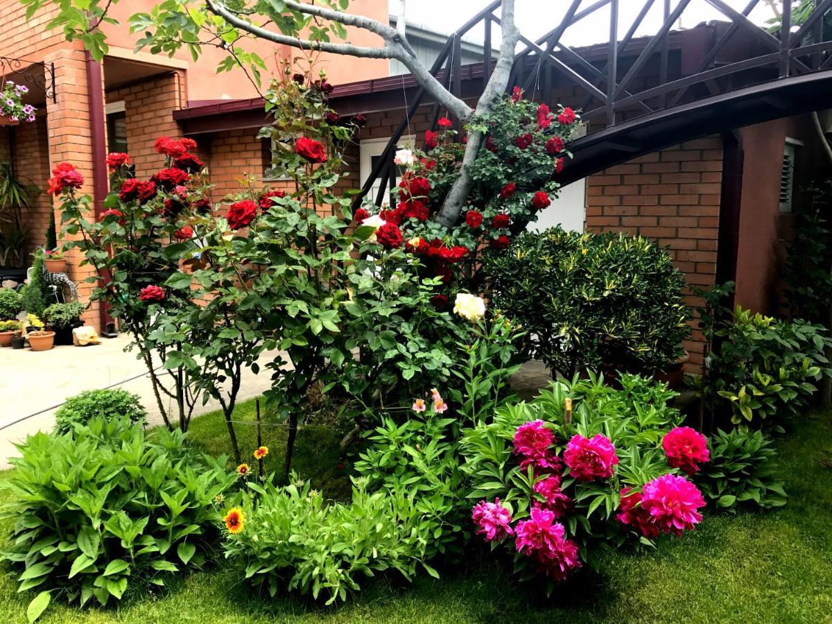 Green Garden Tbilisi Ngoại thất bức ảnh