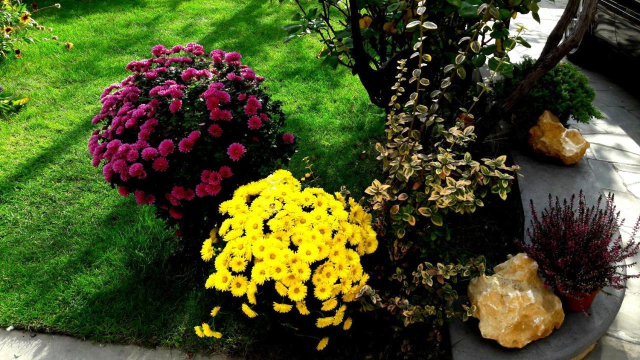 Green Garden Tbilisi Ngoại thất bức ảnh
